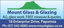 Mount Glass Glazing